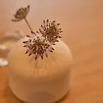 Strandhotel Klitrosen