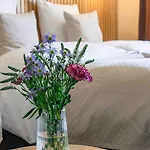 ホテル Strandhotel Klitrosen 3*