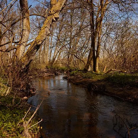 فندق Strandhotel Klitrosen