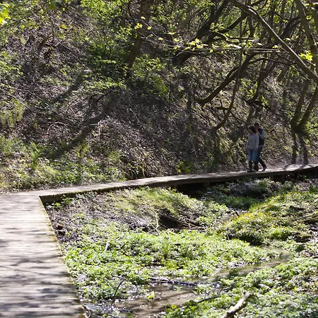 Strandhotel Klitrosen فندق 3*